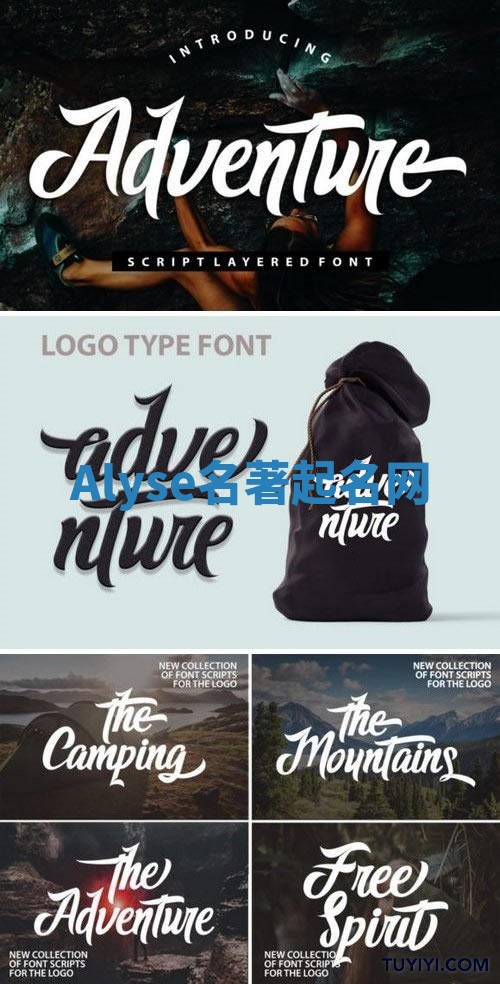 Alyse名著起名网