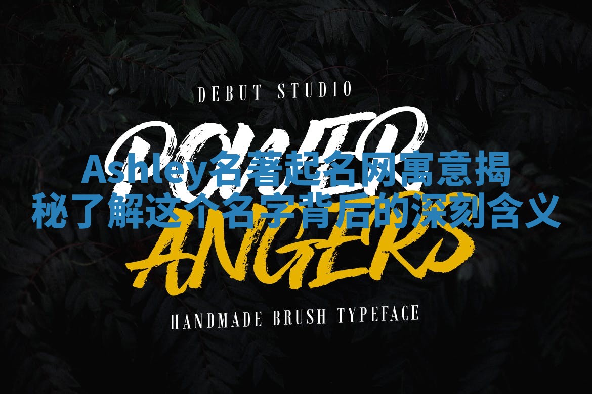 Ashley名著起名网寓意揭秘 了解这个名字背后的深刻含义 Ashley名著起名网寓意揭秘 了解这个名字背后的深刻含义