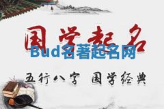 Bud名著起名网