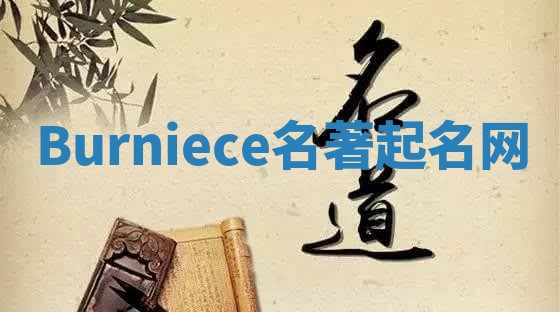 Burniece名著起名网