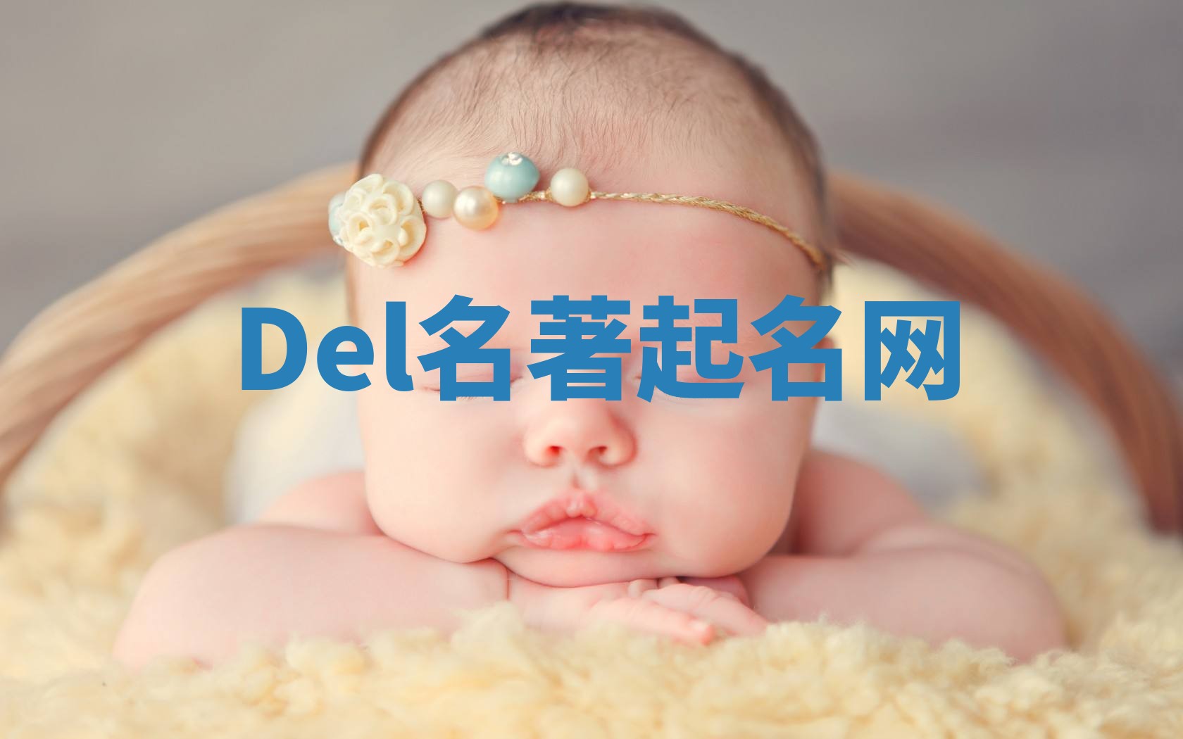 Del名著起名网