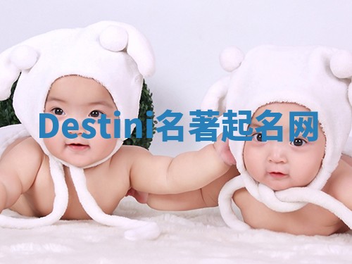 Destini名著起名网