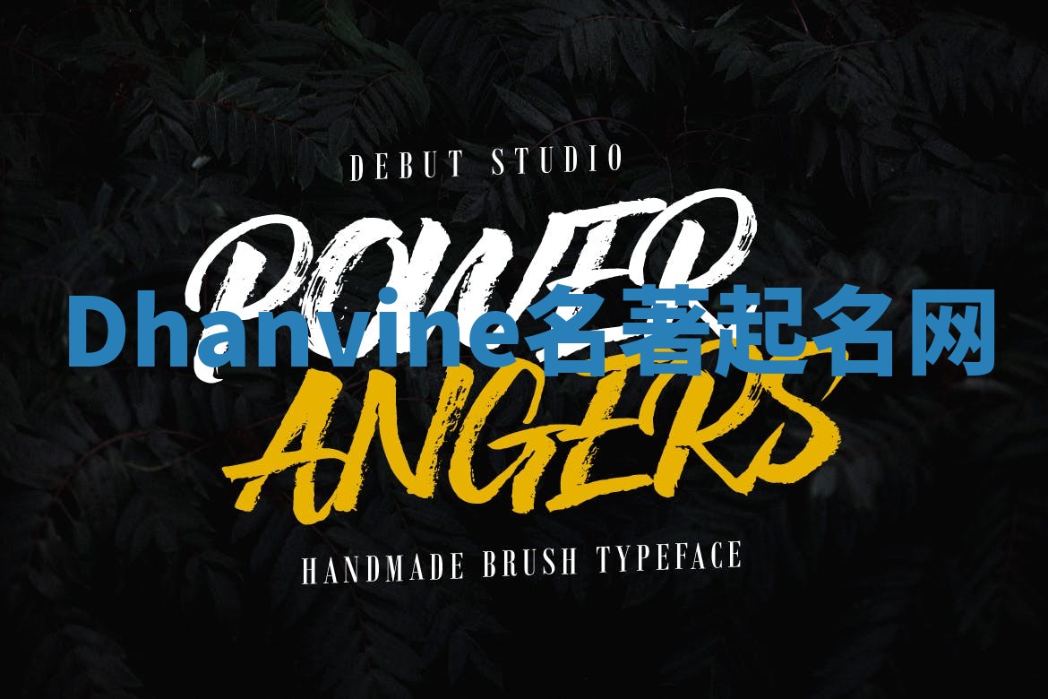 Dhanvine名著起名网