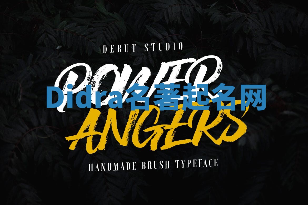 Didra名著起名网