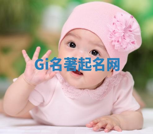 Gi名著起名网