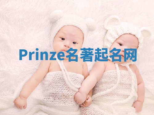 Prinze名著起名网 Prinze名著起名网