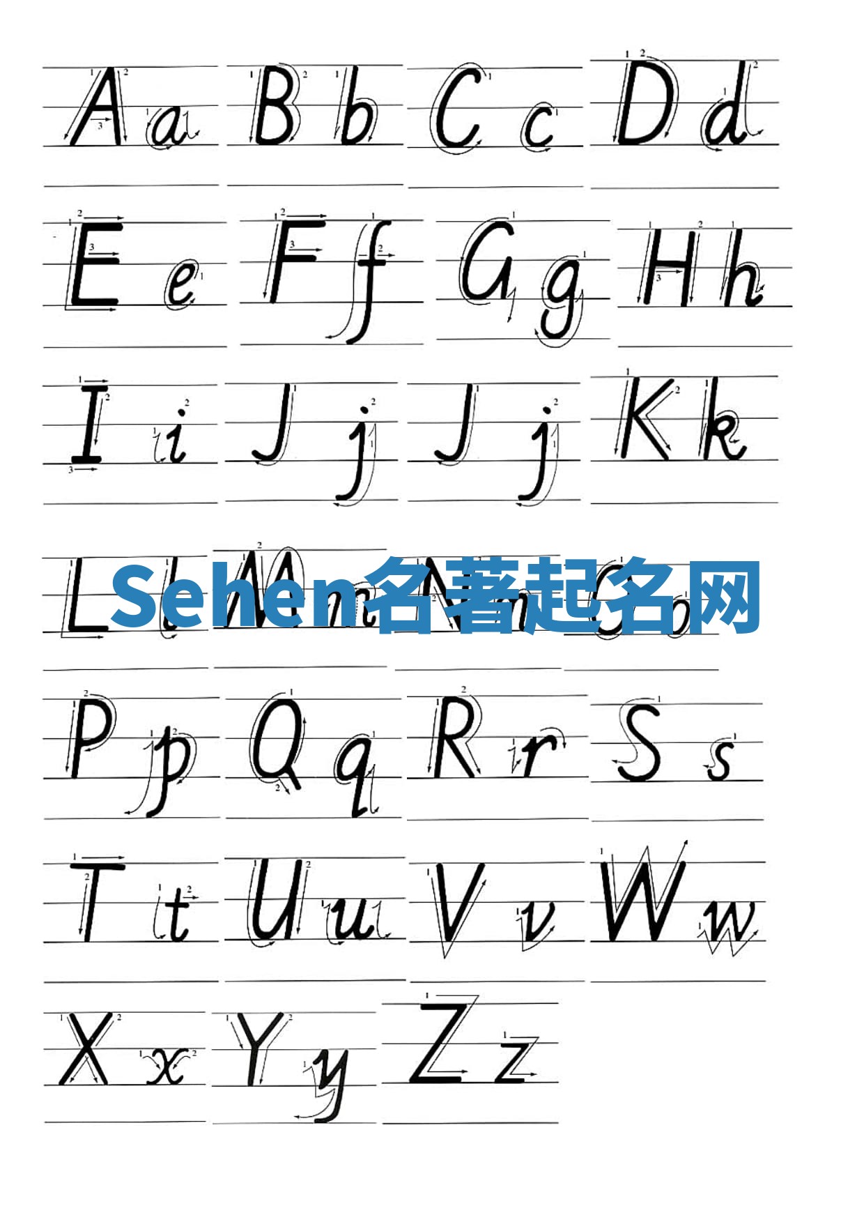 Sehen名著起名网