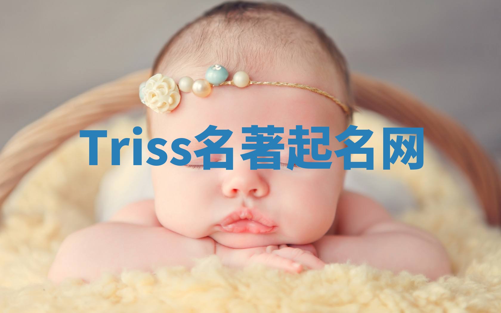 Triss名著起名网