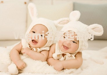 Vagmi名著起名网