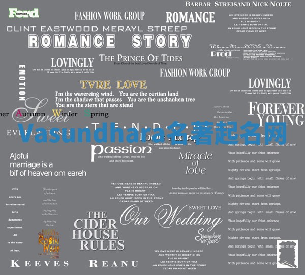 Vasundhara名著起名网