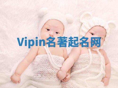Vipin名著起名网 Vipin名著起名网
