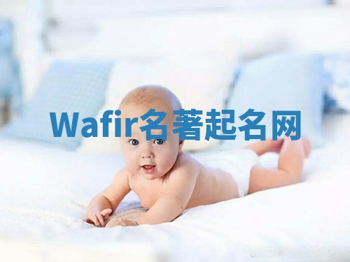 Wafir名著起名网