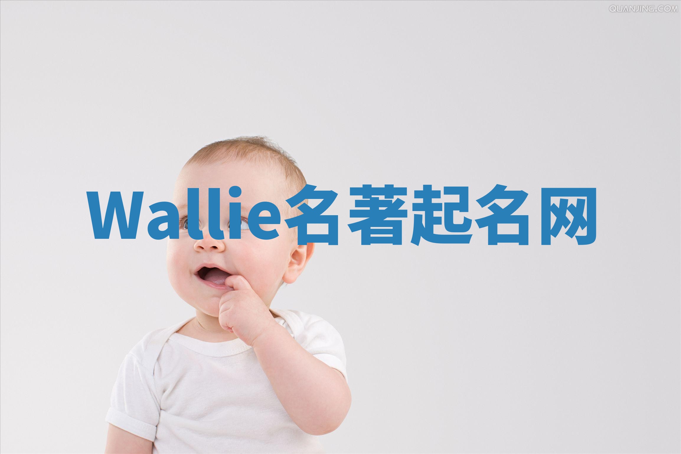 Wallie名著起名网