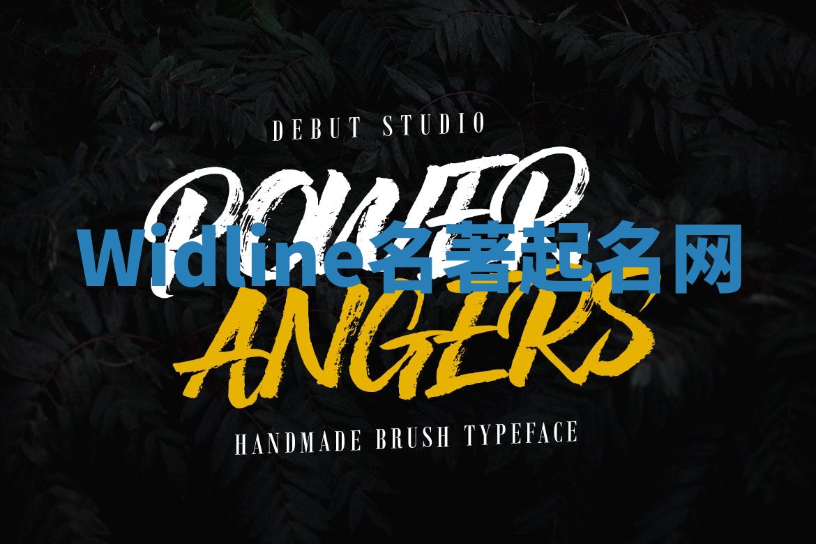 Widline名著起名网