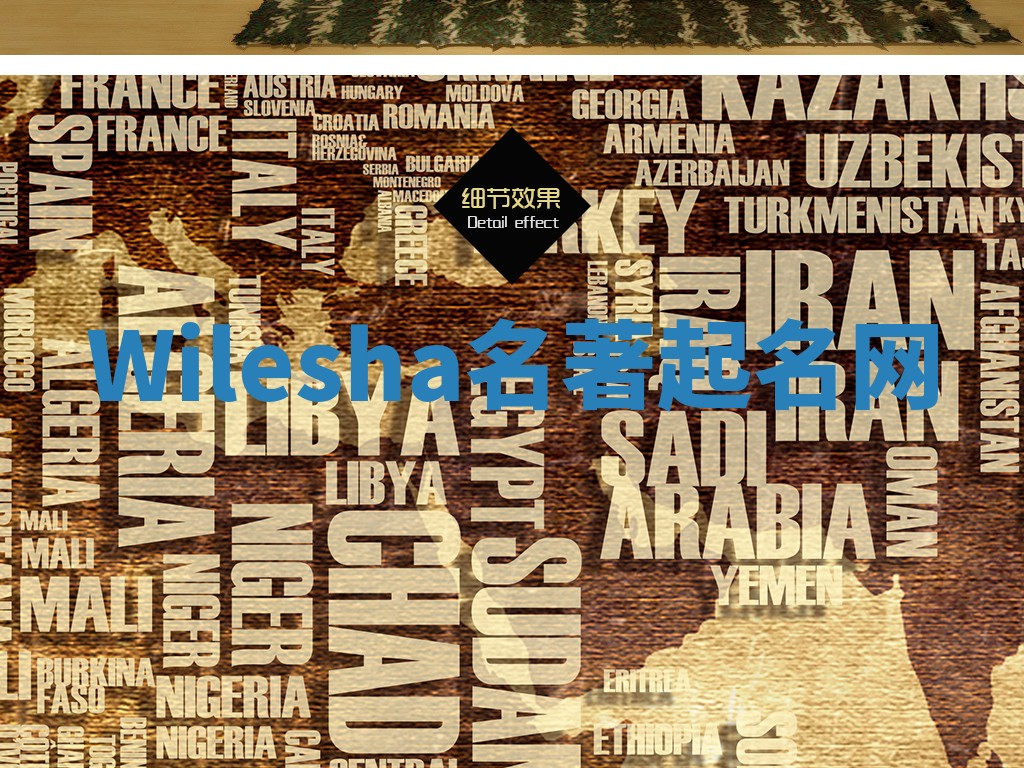 Wilesha名著起名网