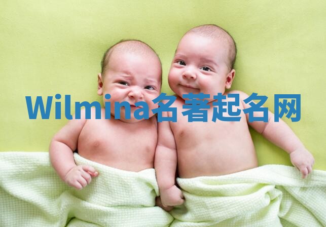 Wilmina名著起名网