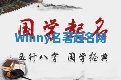 Winny名著起名网 Winny名著起名网