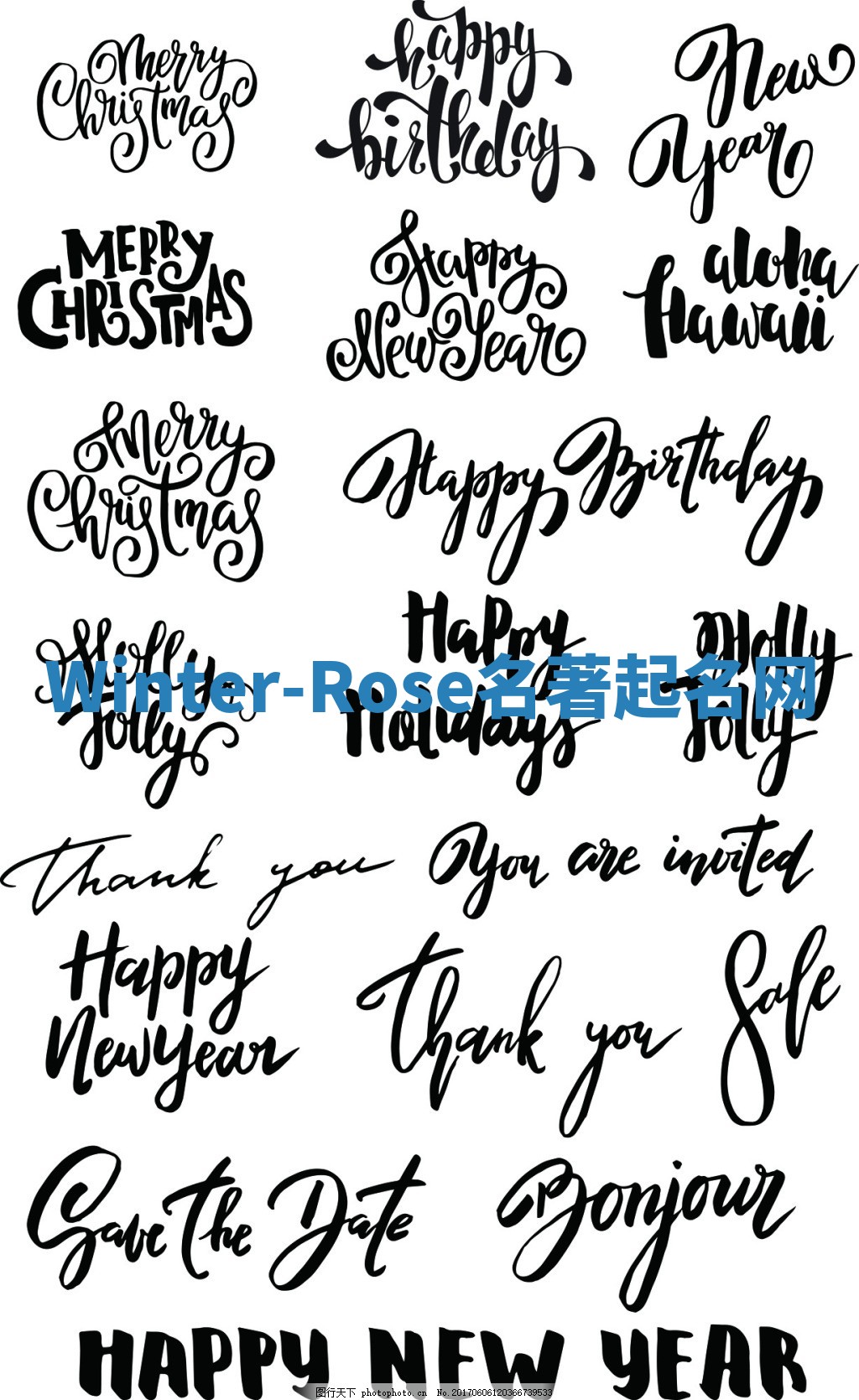 Winter-Rose名著起名网