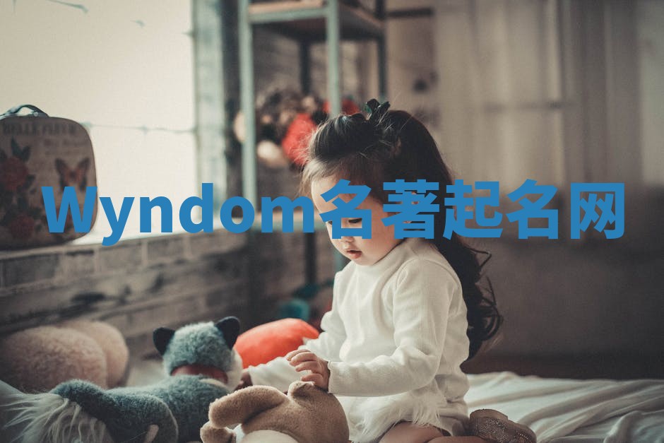Wyndom名著起名网